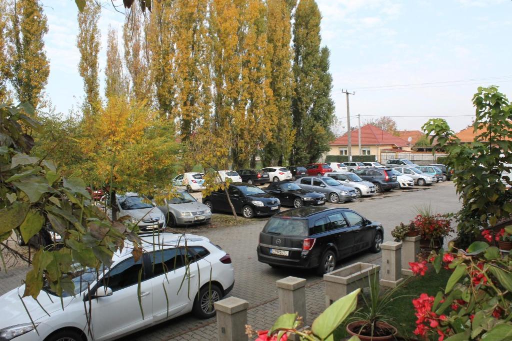 Bed and Breakfast Bajor Panzio Kecskemét Exteriér fotografie
